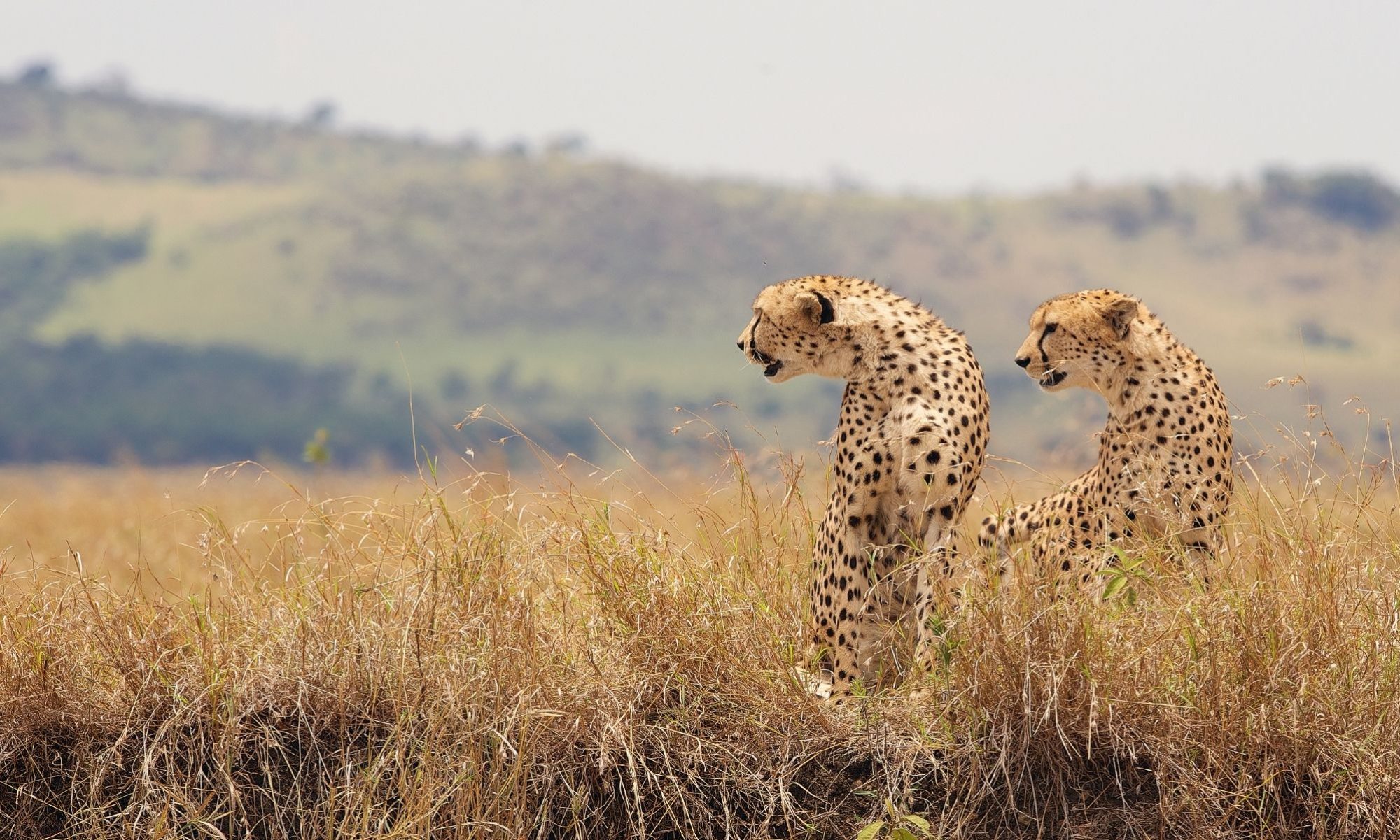 Tourism Research Group - header